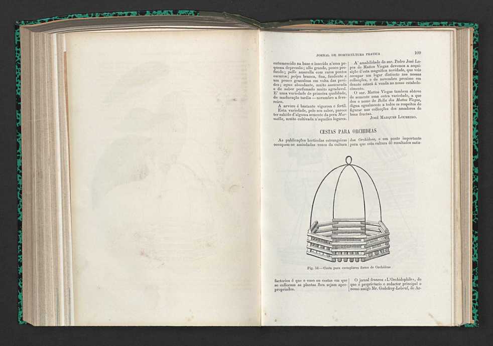 Jornal de horticultura prtica XV 73