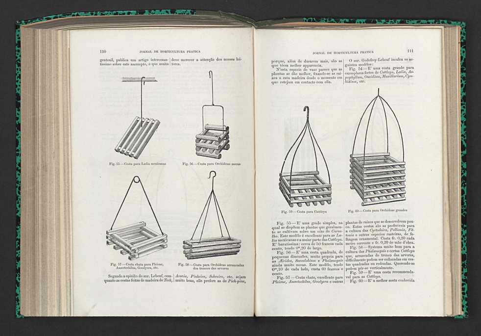 Jornal de horticultura prtica XV 74