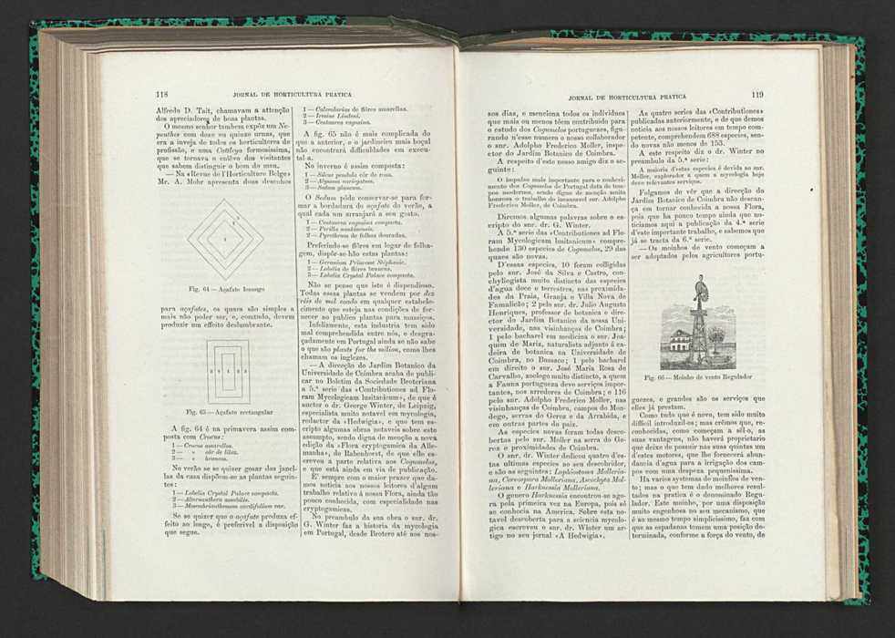 Jornal de horticultura prtica XV 78