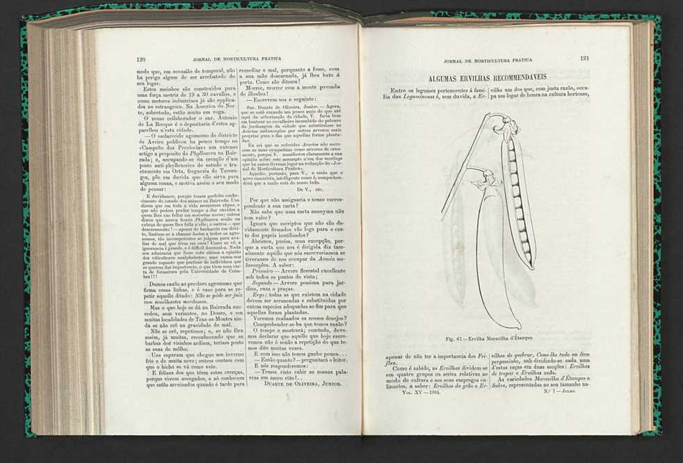 Jornal de horticultura prtica XV 79