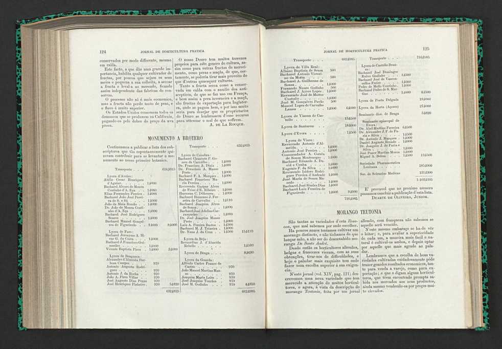 Jornal de horticultura prtica XV 81