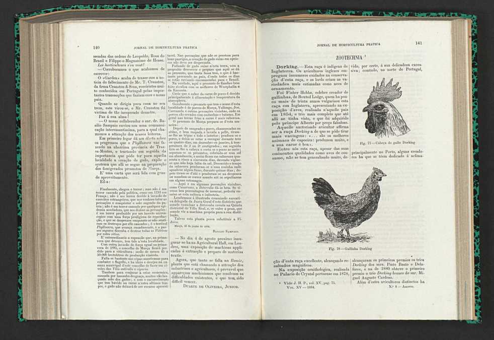 Jornal de horticultura prtica XV 91