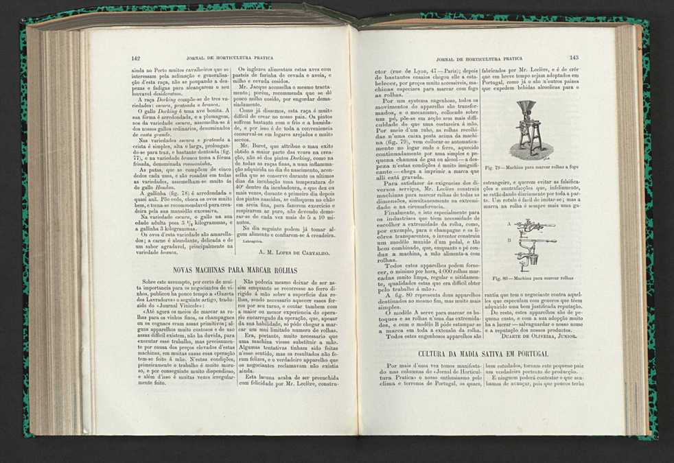 Jornal de horticultura prtica XV 92