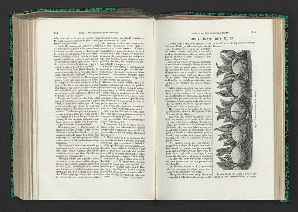 Jornal de horticultura prtica XV 93