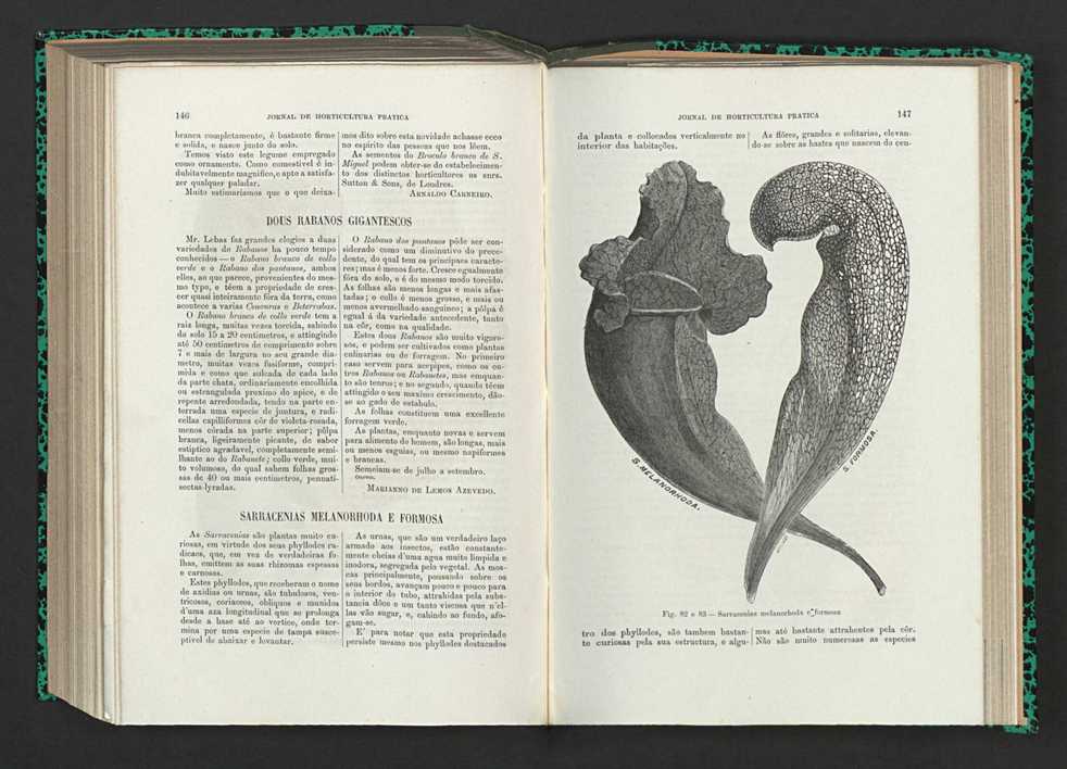 Jornal de horticultura prtica XV 94