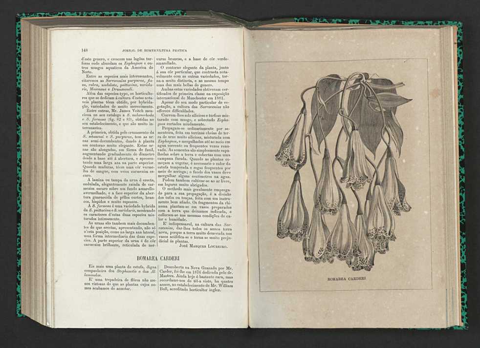 Jornal de horticultura prtica XV 95