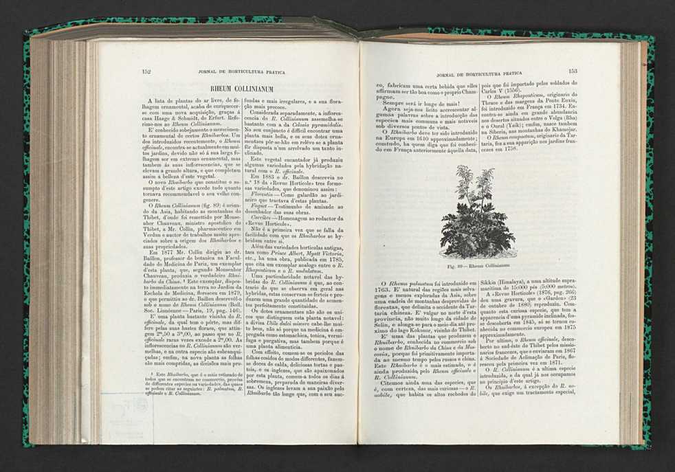 Jornal de horticultura prtica XV 98