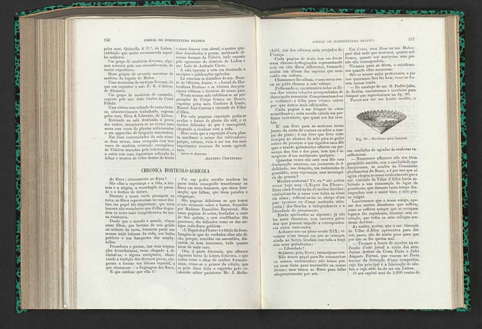 Jornal de horticultura prtica XV 100