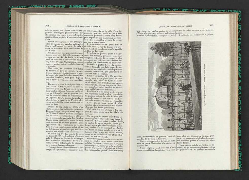 Jornal de horticultura prtica XV 103