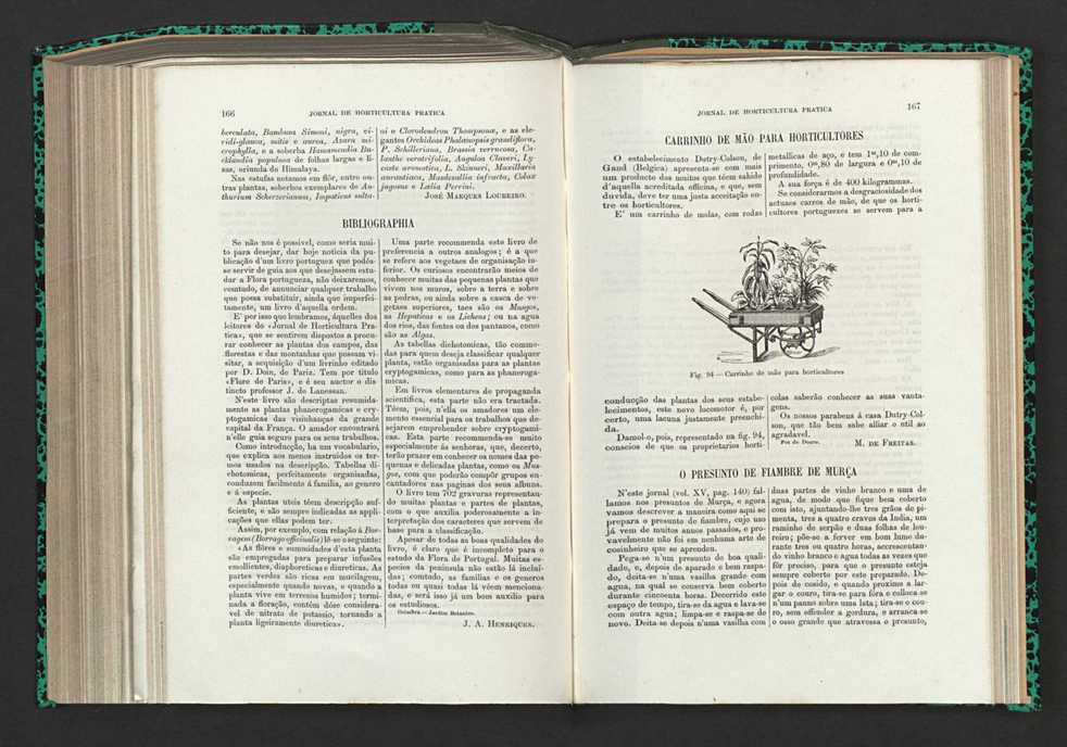 Jornal de horticultura prtica XV 105
