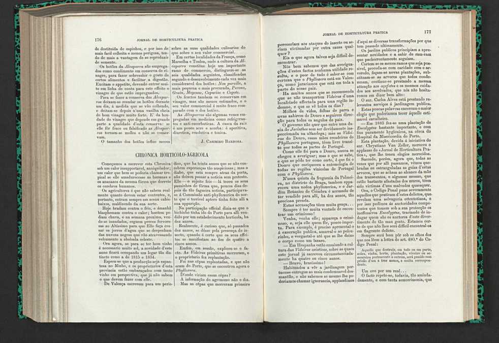 Jornal de horticultura prtica XV 111
