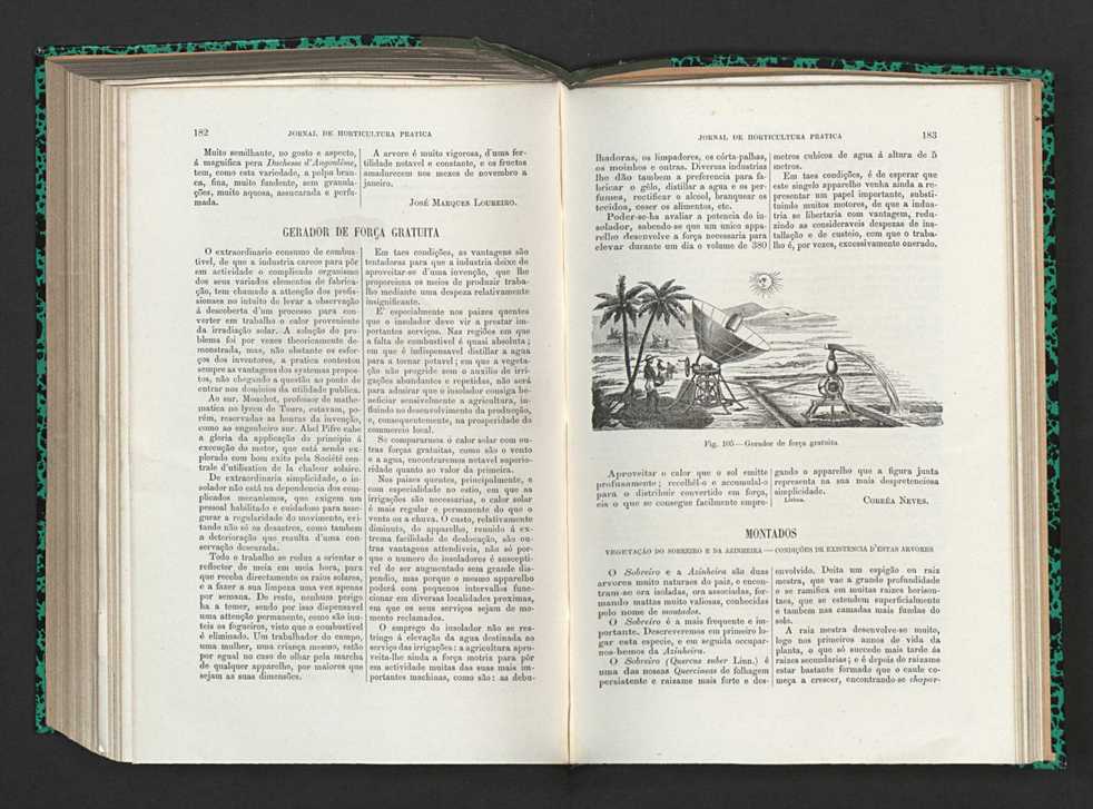 Jornal de horticultura prtica XV 114