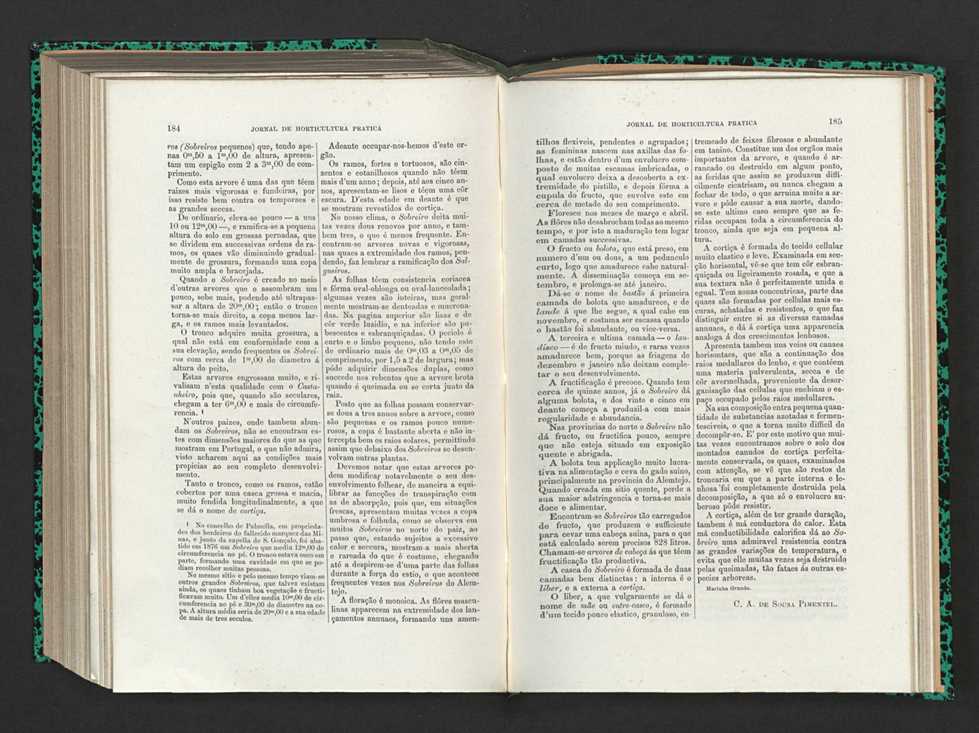 Jornal de horticultura prtica XV 115