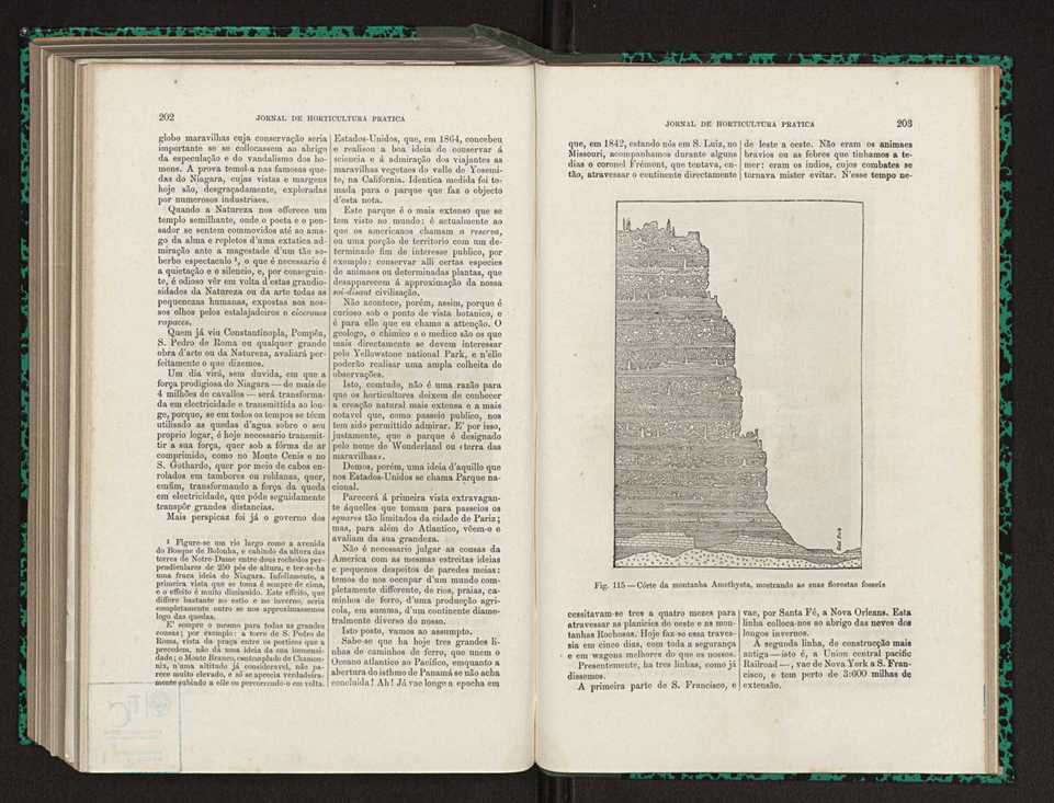 Jornal de horticultura prtica XV 126