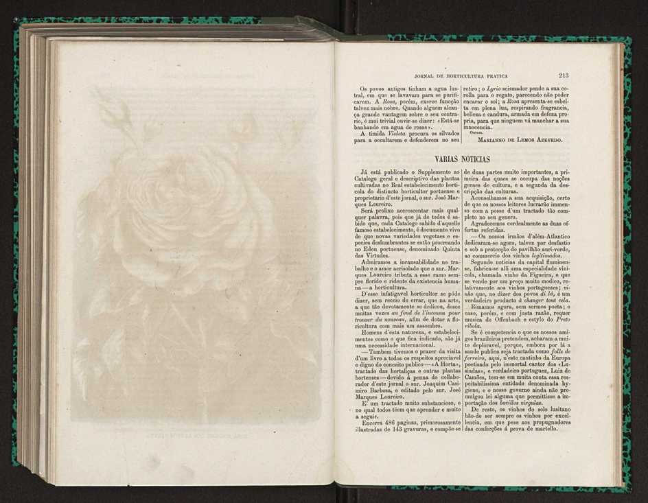 Jornal de horticultura prtica XV 132