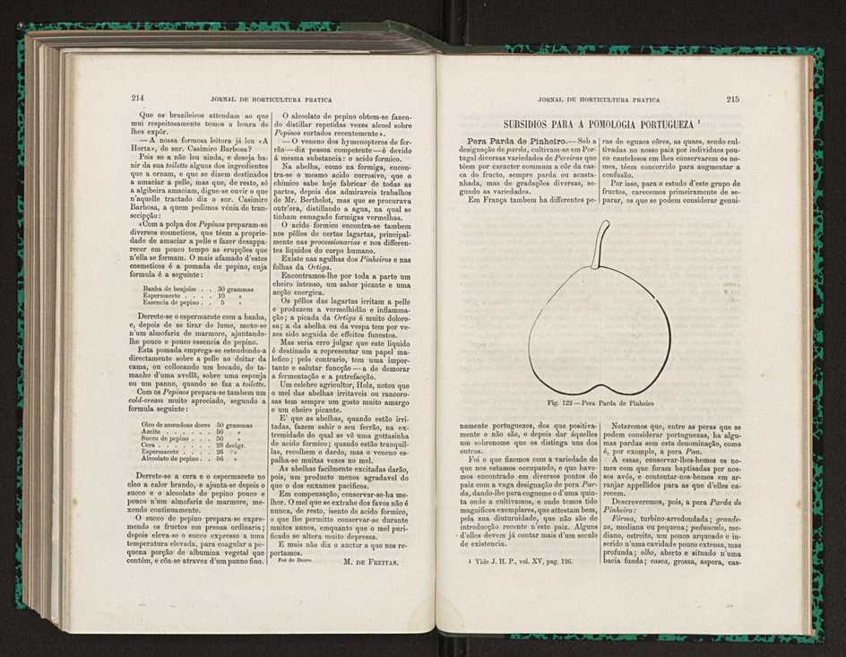 Jornal de horticultura prtica XV 133