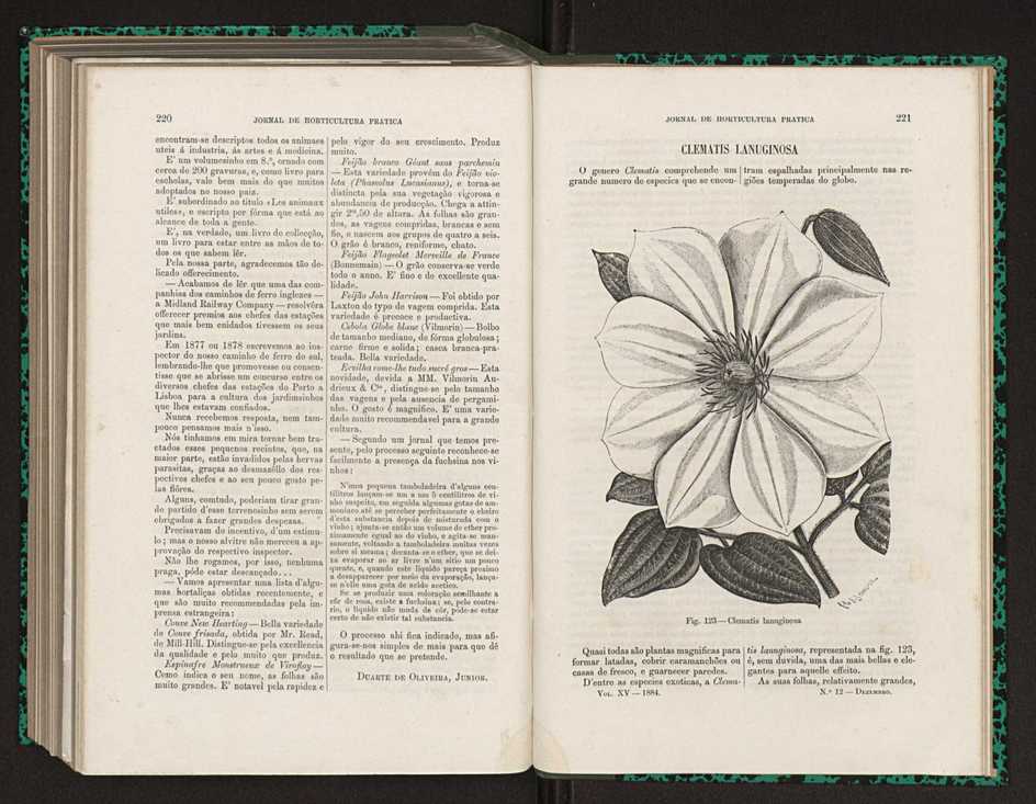 Jornal de horticultura prtica XV 136