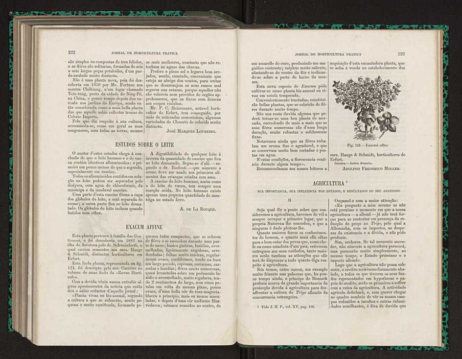 Jornal de horticultura prtica XV 137