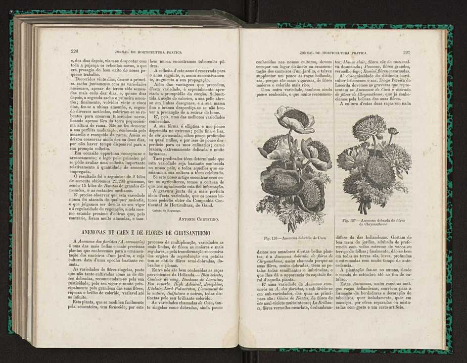 Jornal de horticultura prtica XV 139