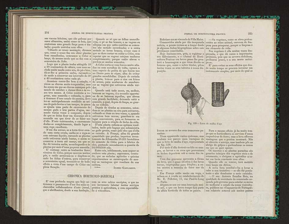 Jornal de horticultura prtica XV 143