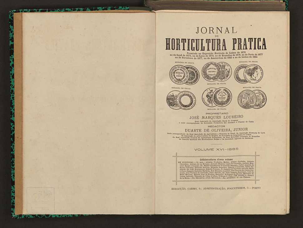 Jornal de horticultura prtica XVI 4