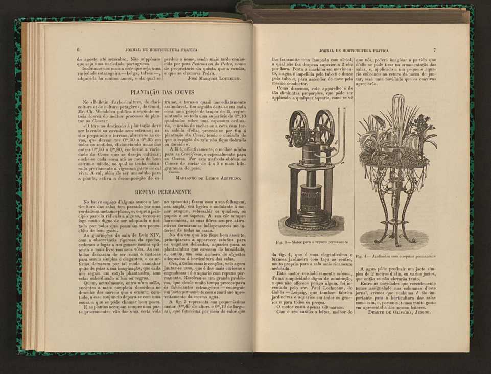 Jornal de horticultura prtica XVI 17