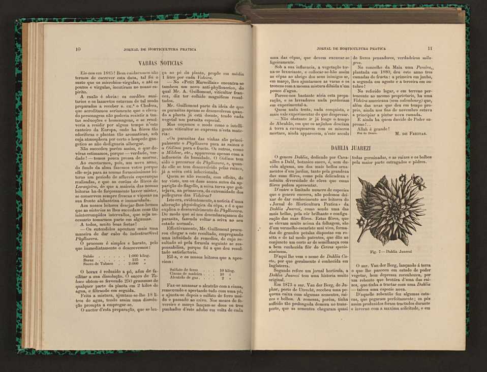 Jornal de horticultura prtica XVI 20