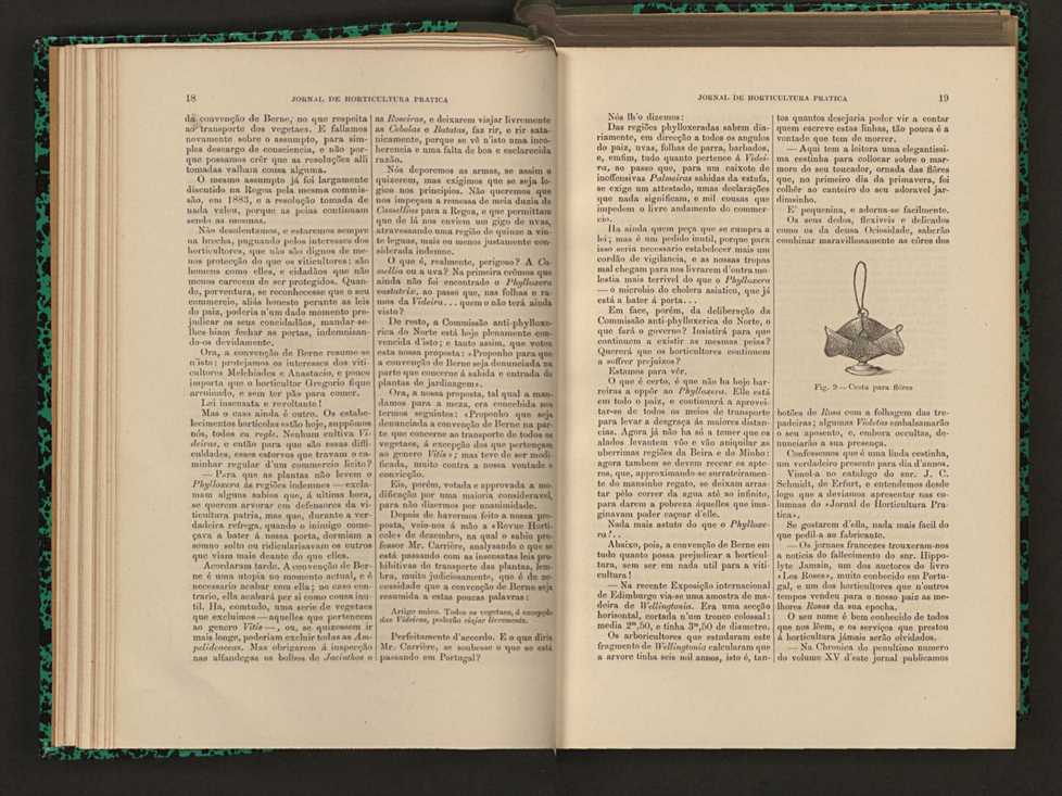 Jornal de horticultura prtica XVI 24