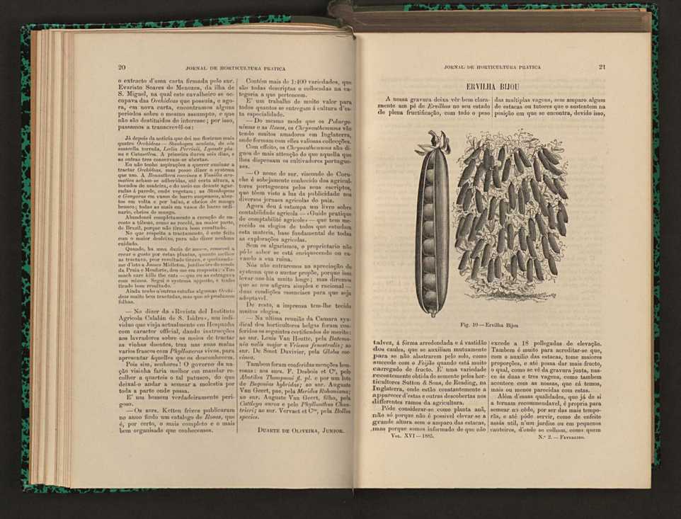 Jornal de horticultura prtica XVI 25