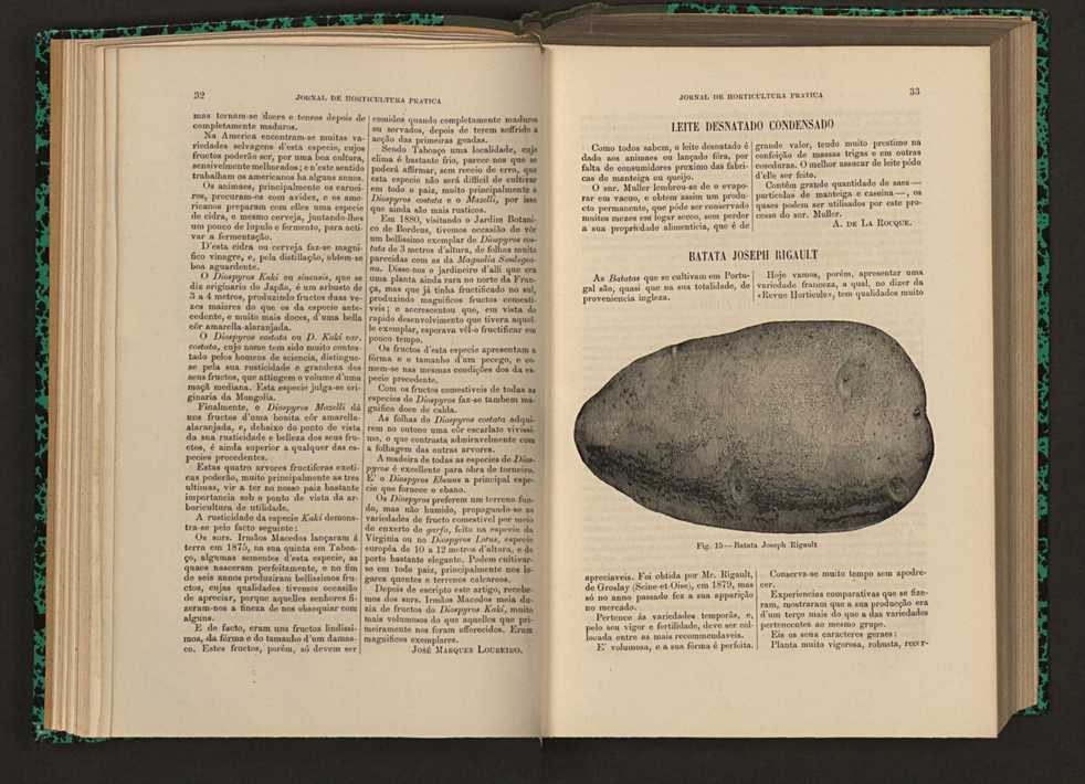 Jornal de horticultura prtica XVI 32
