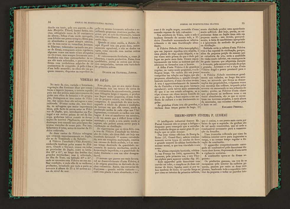 Jornal de horticultura prtica XVI 33