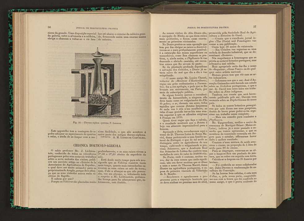 Jornal de horticultura prtica XVI 34