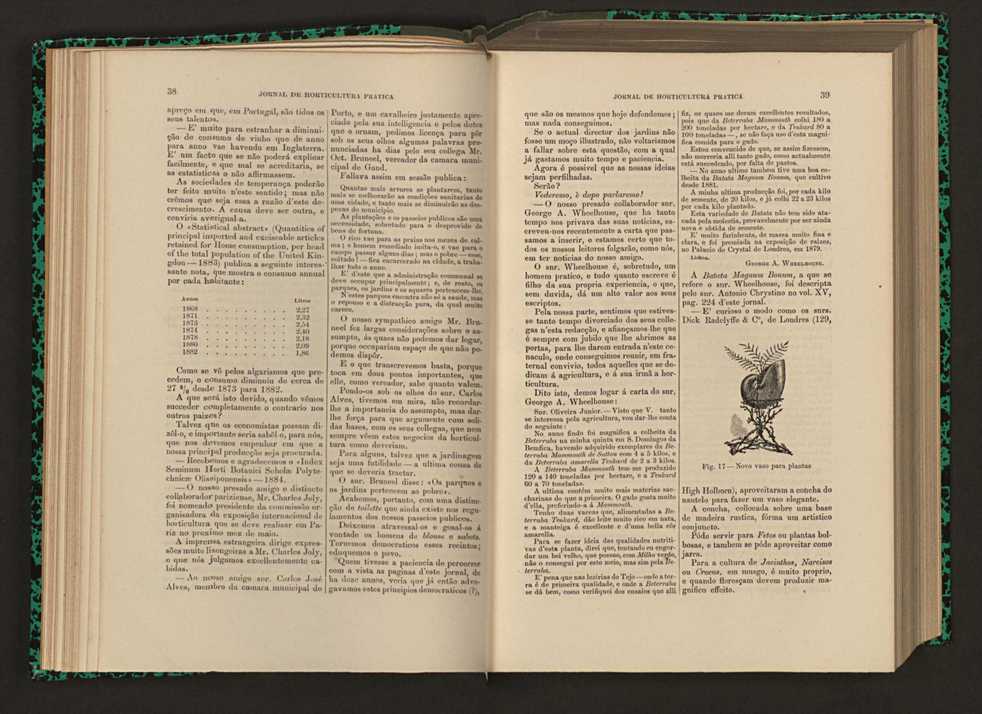 Jornal de horticultura prtica XVI 35