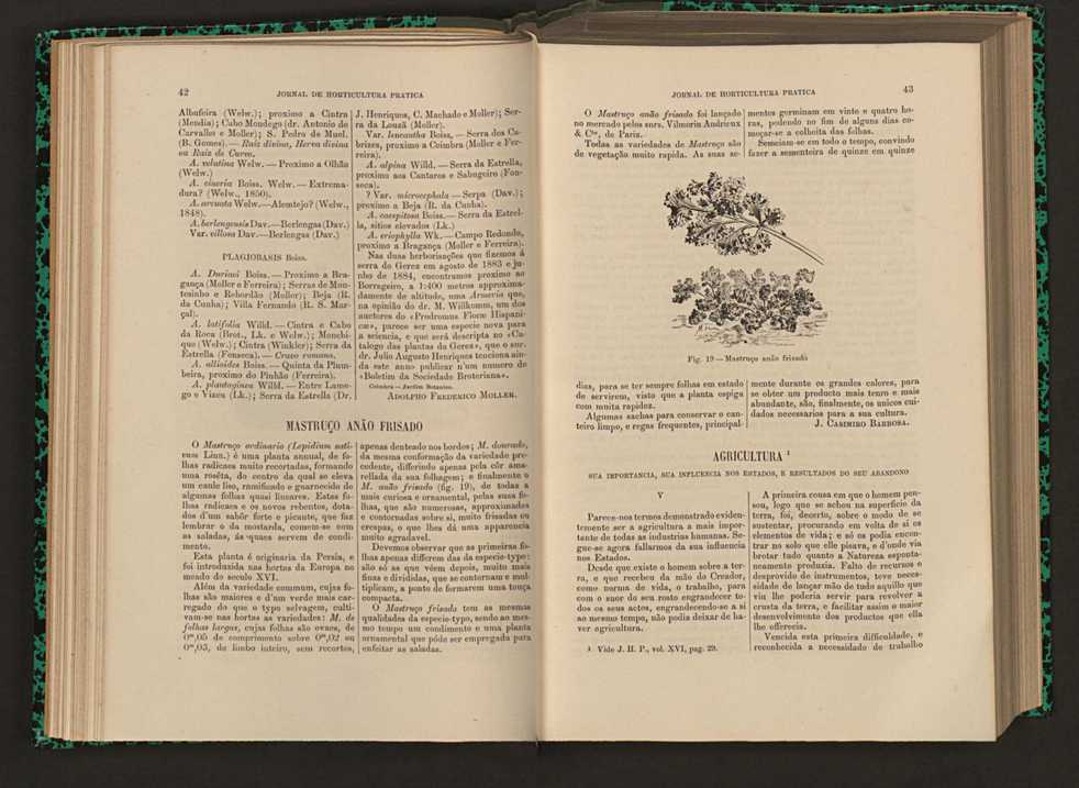 Jornal de horticultura prtica XVI 37