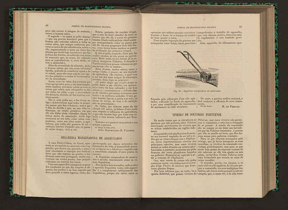 Jornal de horticultura prtica XVI 38