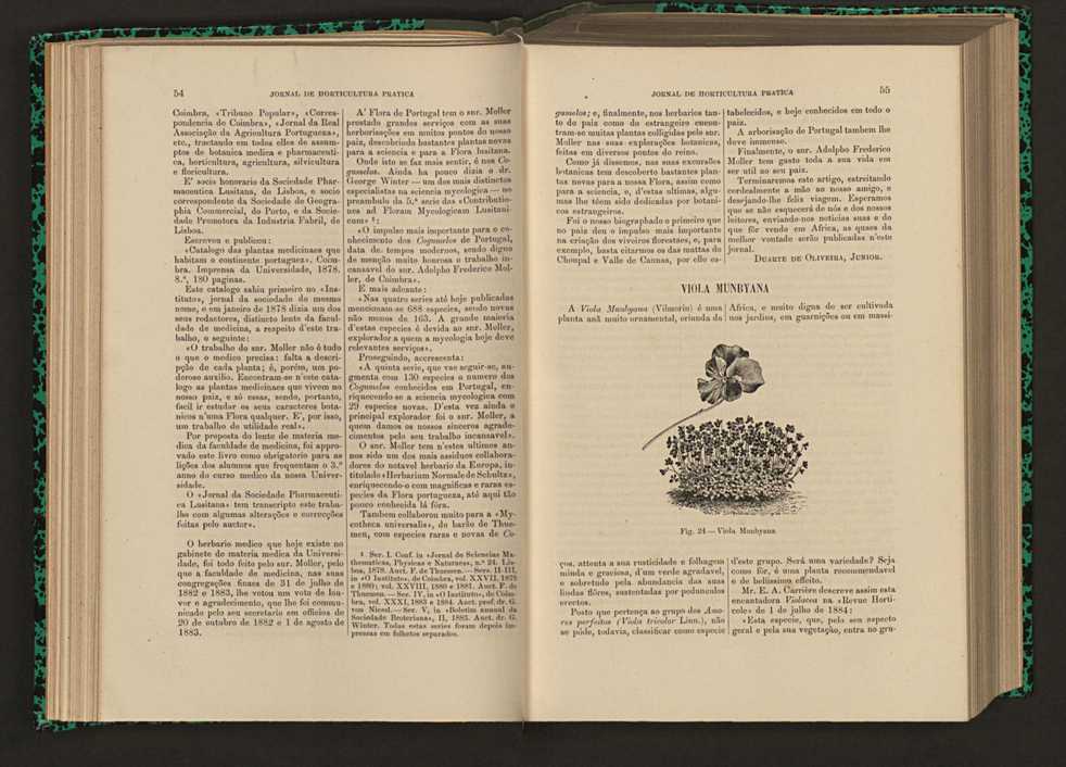 Jornal de horticultura prtica XVI 44