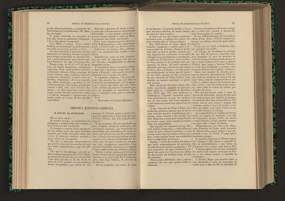 Jornal de horticultura prtica XVI 45