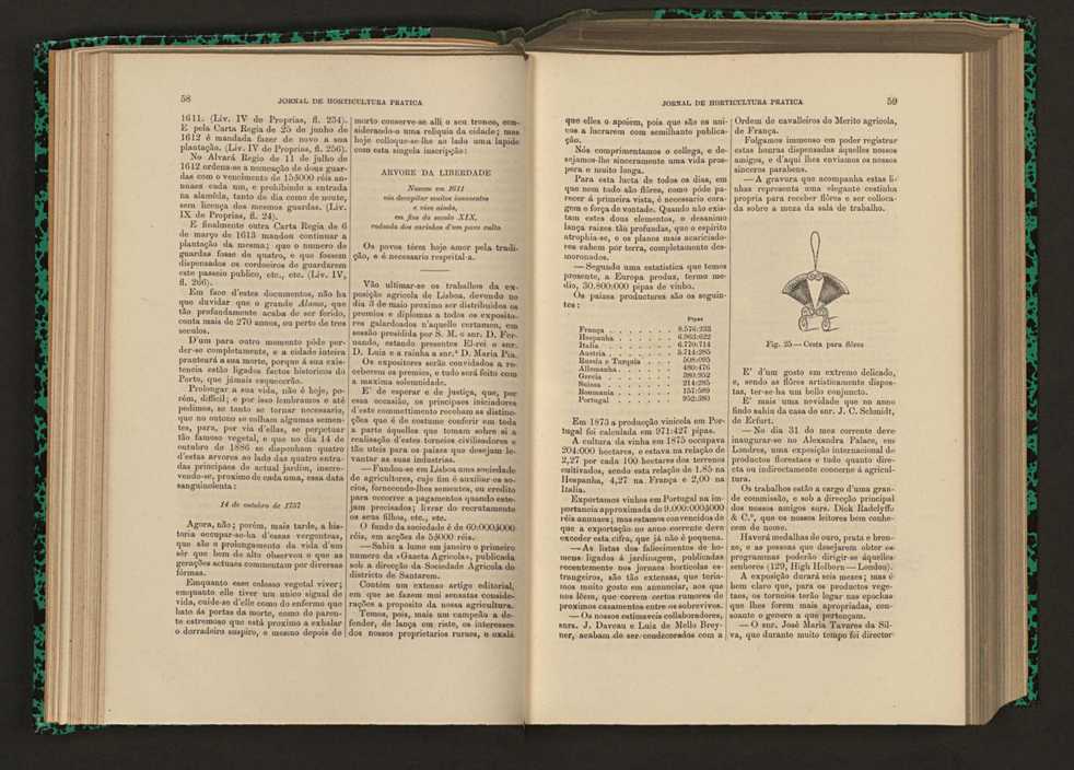 Jornal de horticultura prtica XVI 46