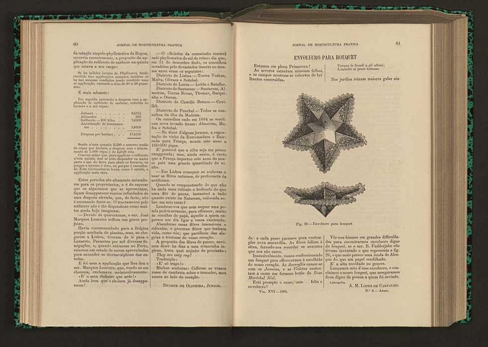 Jornal de horticultura prtica XVI 47