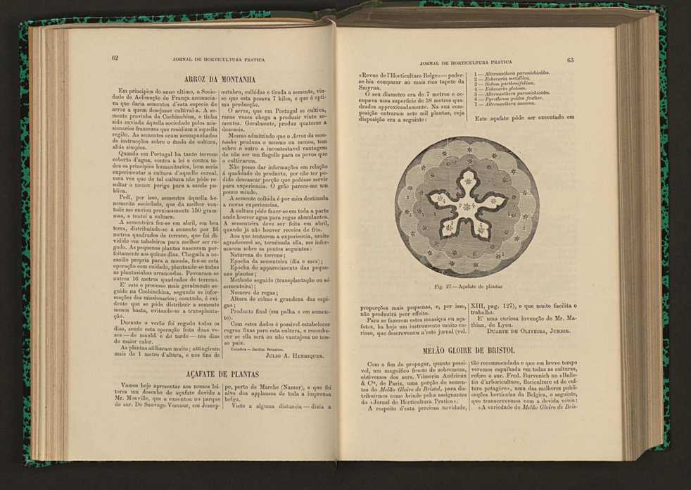 Jornal de horticultura prtica XVI 48