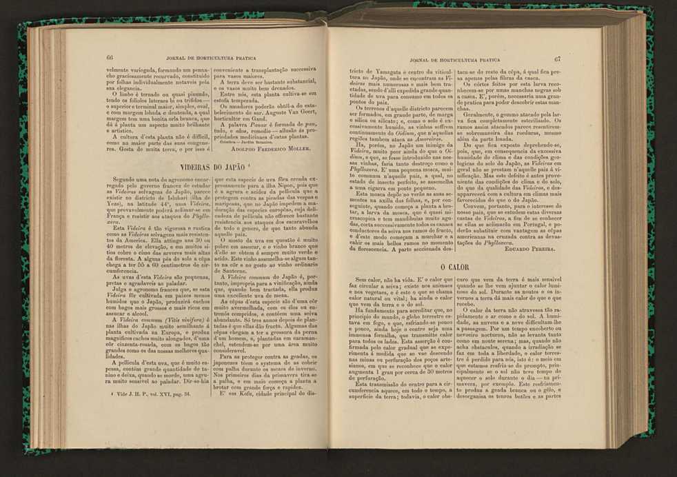 Jornal de horticultura prtica XVI 50