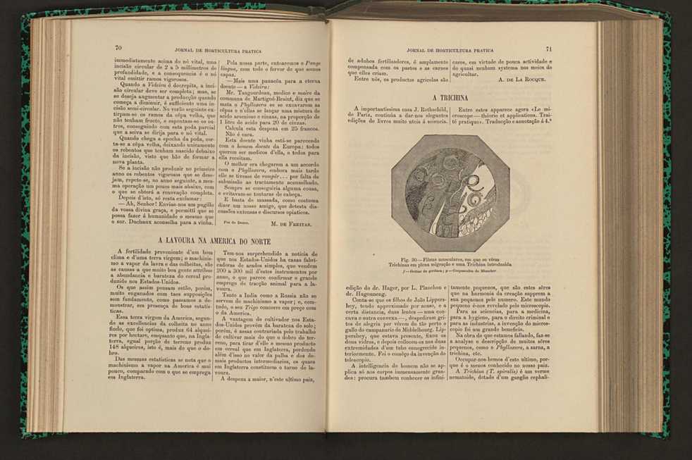 Jornal de horticultura prtica XVI 53