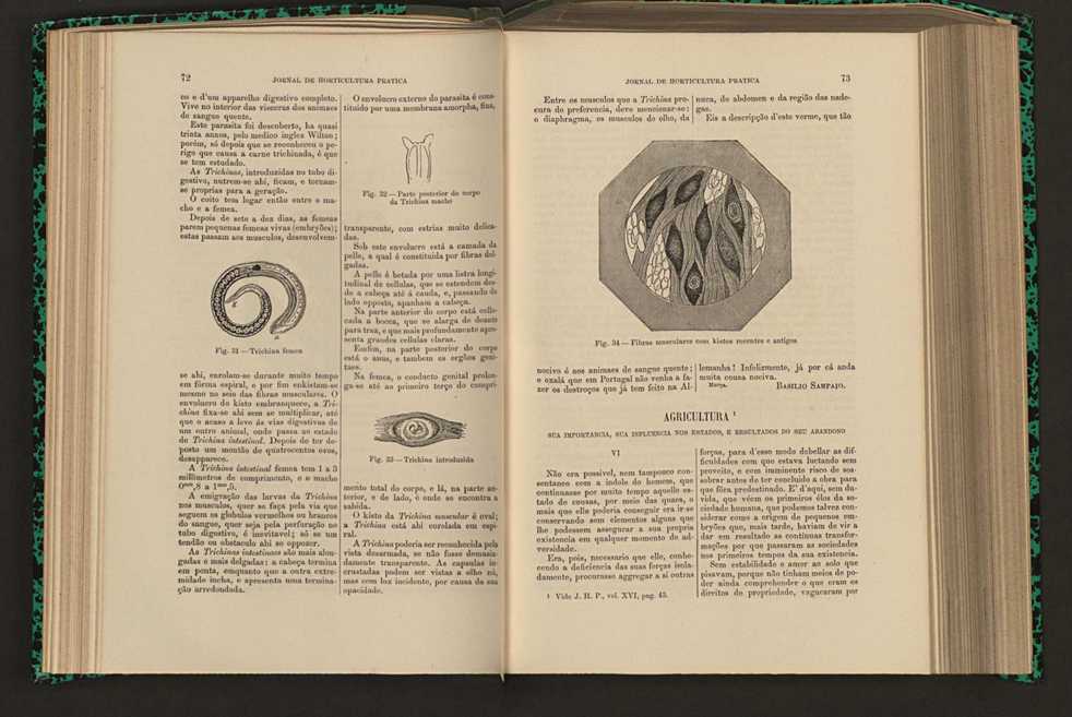 Jornal de horticultura pr�tica XVI 54