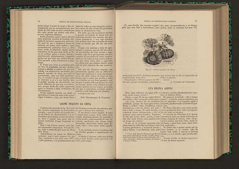 Jornal de horticultura prtica XVI 55