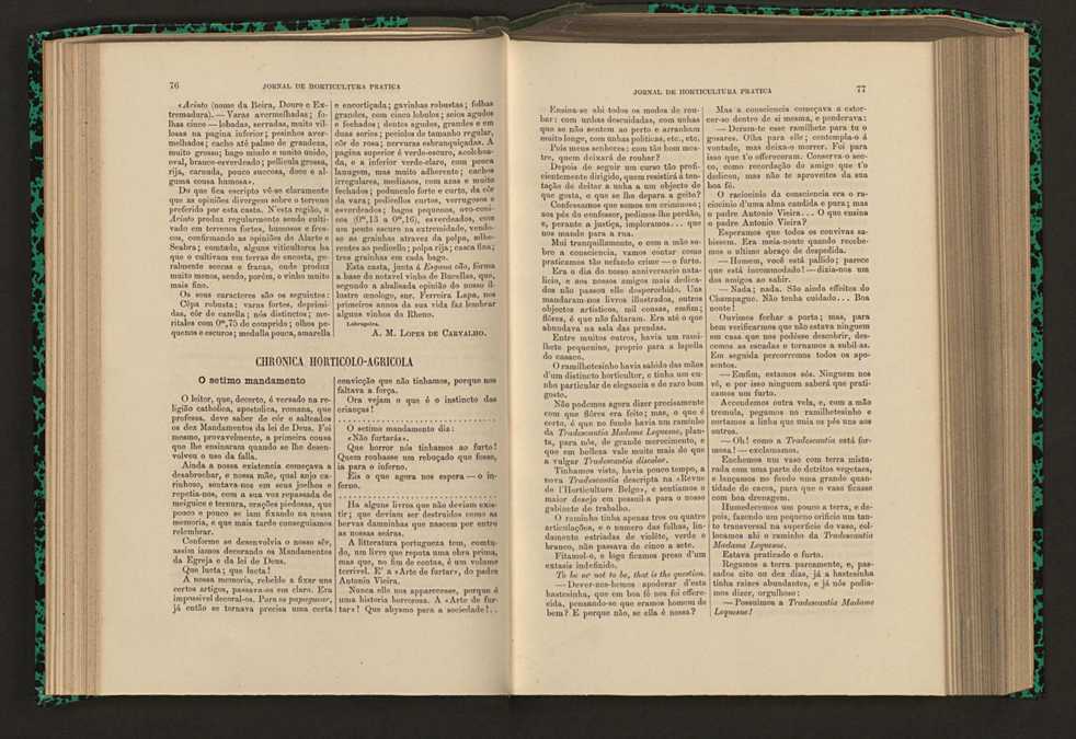Jornal de horticultura prtica XVI 56
