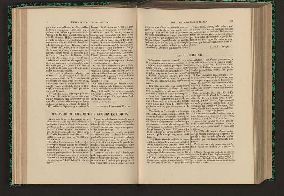 Jornal de horticultura prtica XVI 59