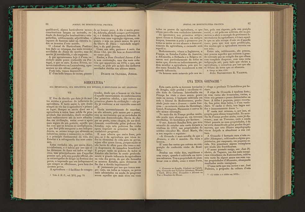 Jornal de horticultura prtica XVI 61