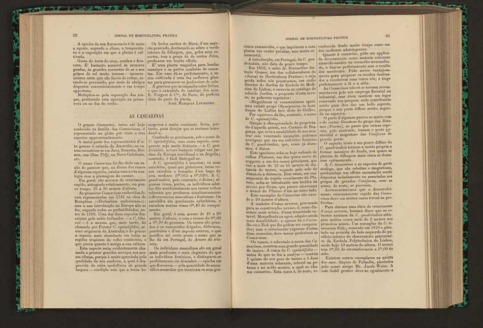 Jornal de horticultura prtica XVI 65