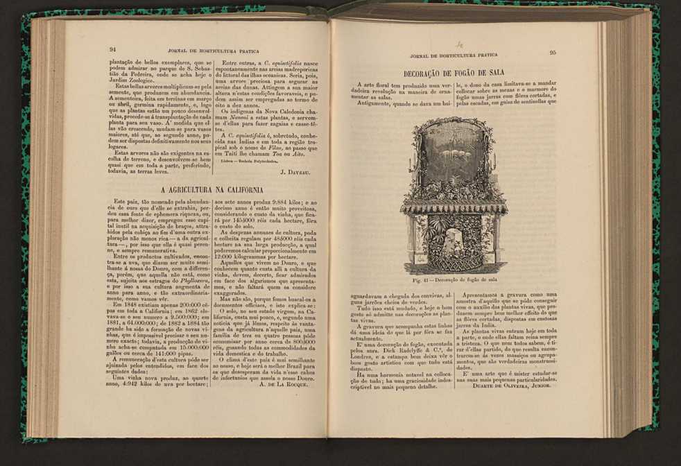 Jornal de horticultura prtica XVI 66