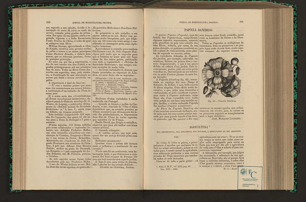 Jornal de horticultura prtica XVI 69